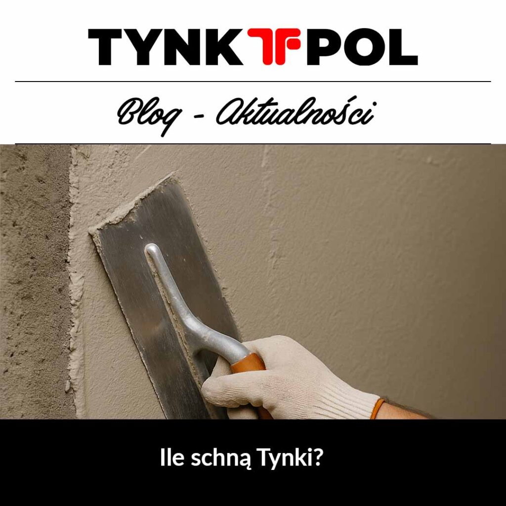 Ile schną tynki ?