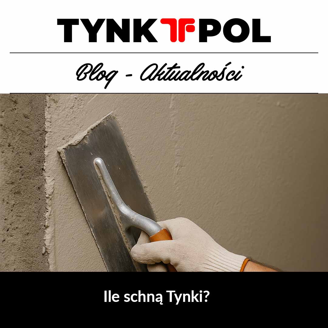 Ile schną tynki?